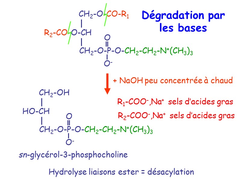 Hydrolyse liaisons ester = désacylation R1-COO-,Na+  sels d’acides gras R2-COO-,Na+  sels d’acides